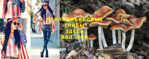 синтетический гашиш Алексеевка